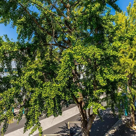 Appartement Guestready - A Sunny In Arcueil